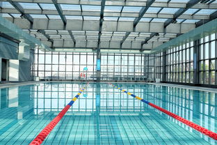 米兰体育网页版(官方}-世界游泳锦标赛中国运动员连续夺牌，世界游泳锦标赛中国运动员连续夺牌几次