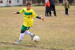 AC MILAN SPORTS全站-中超冠军梦碎后，蓉城要在亚洲赛场重塑信心，中甲成都蓉城今天比赛结果